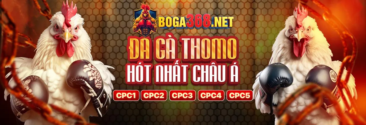 Đá Gà Trực Tuyến Hấp Dẫn tại 777king99