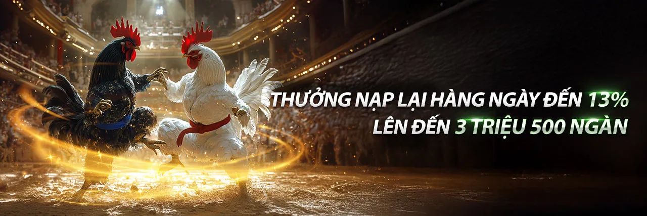 Hình ảnh chính blog 777king99